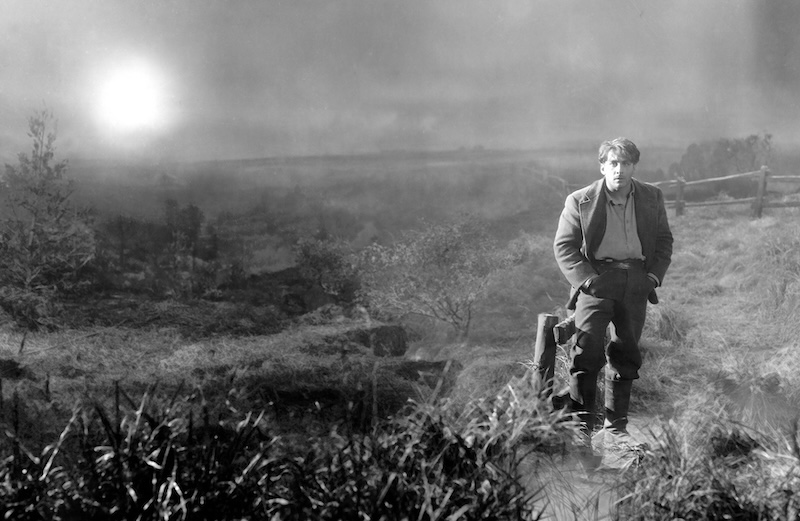 Figura 6. Fotograma del filme Sunrise [Amanecer]. Dir. Friedrich Wilhelm Murnau, 1927